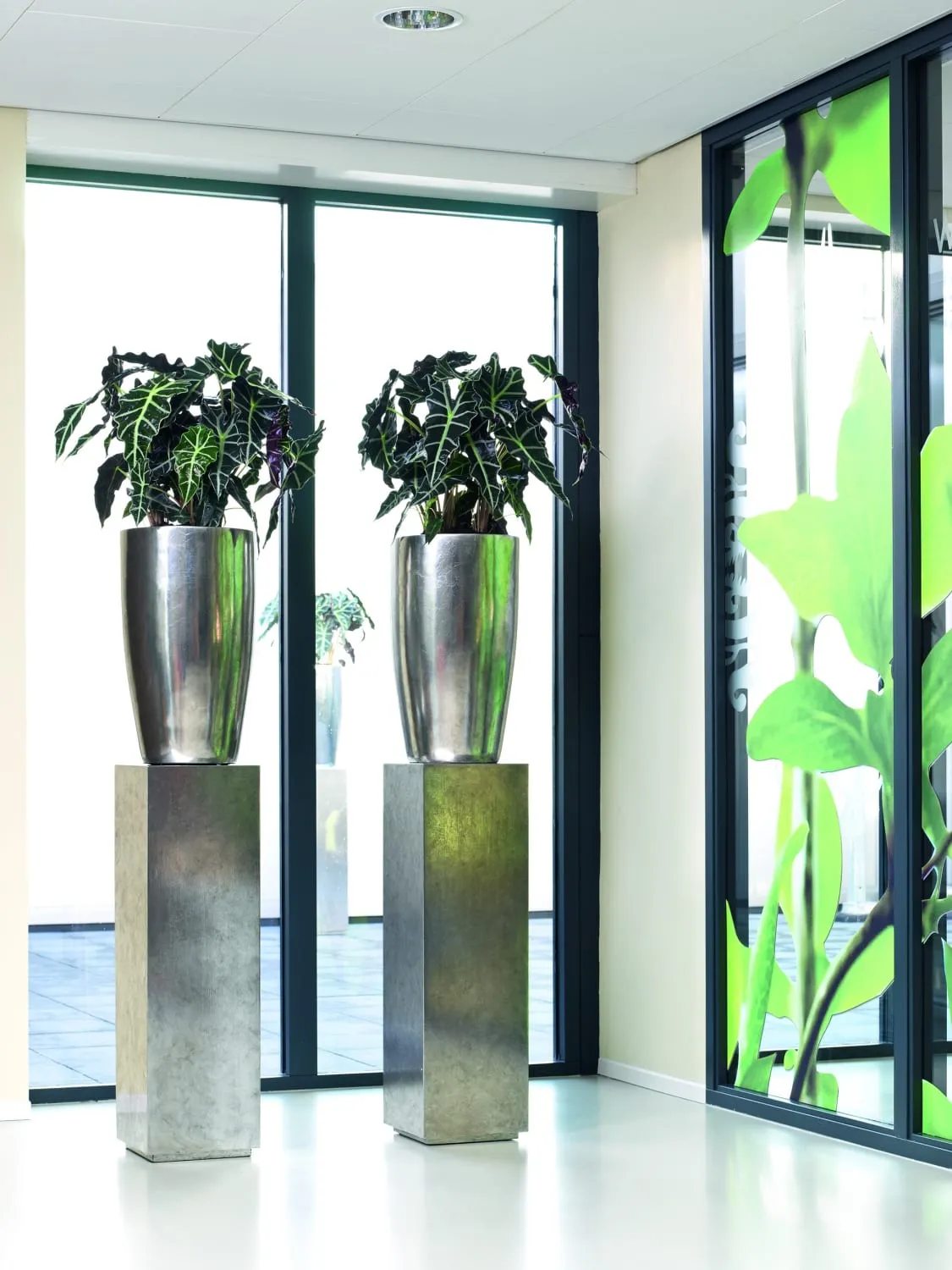 Two leafy plants in tall silver planters on silver plinths stand by floor-to-ceiling windows in a bright office reception.